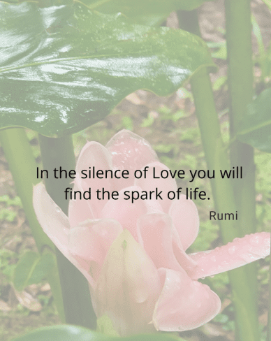 A pink flower with the words rumi on it.