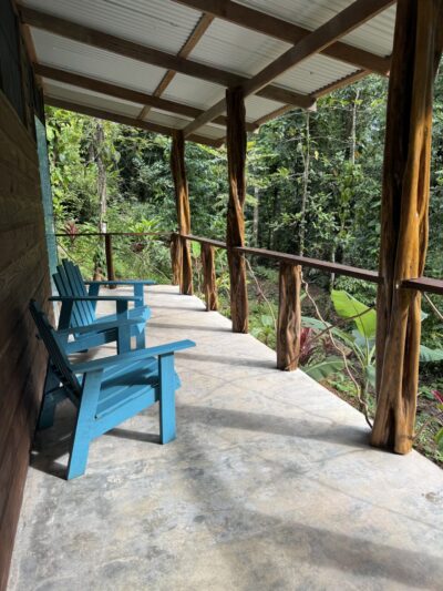 Blue chairs on rustic porch overlooking rainforest