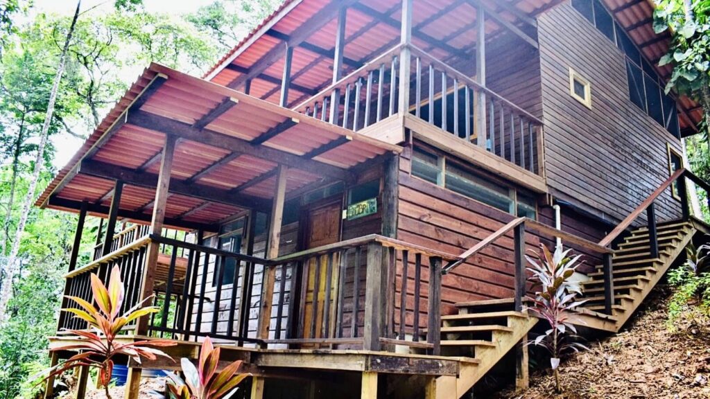 La Ranita Jungle Room